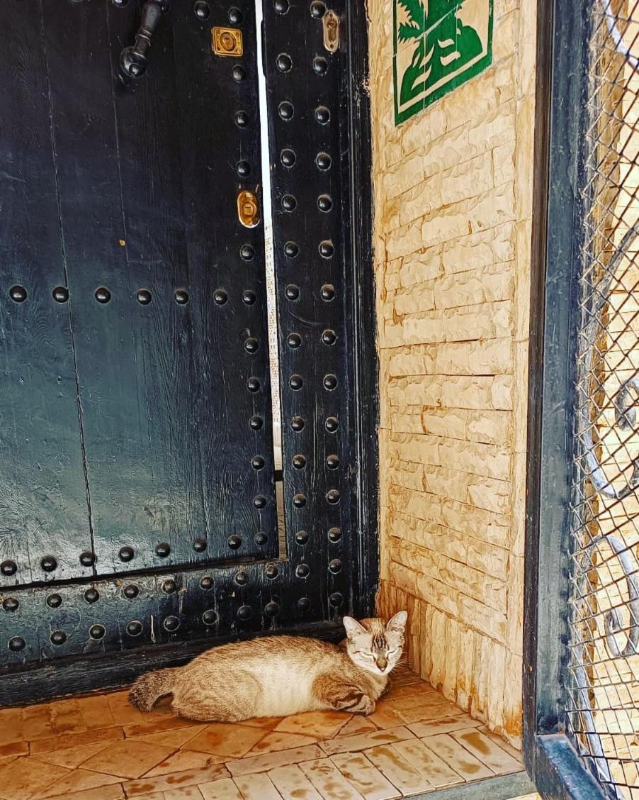 מרקש Riad Hugo מראה חיצוני תמונה